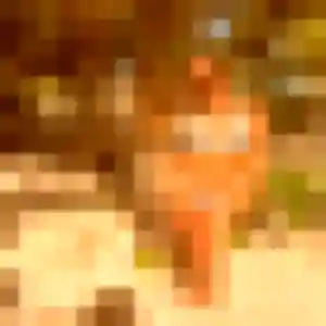 Marie-Laure, 26 ans, dispo pour rencontre sexy à Bouc-Bel-Air