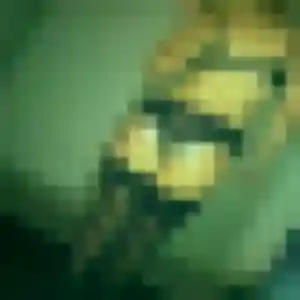 Albertine (31 ans) à Carnoules cherche un rencontre sexy ce soir