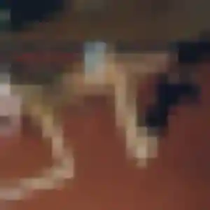 Janine, fille de 24 ans cherche rencontre sexy à Cuers