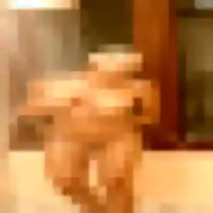 Photo privée de Amel, 32 ans à Gap - rencontre sans lendemain