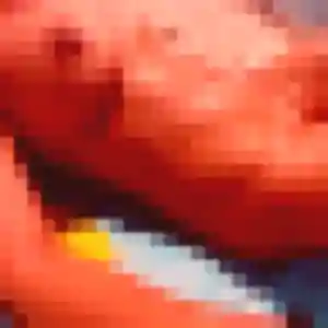 Photo exclusive de Candice, 37 ans à Gargas - rencontre coquine
