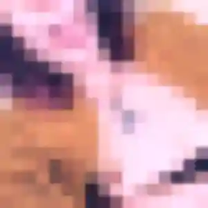 Fanny, femme de 34 ans propose rencontre sexy à Grans