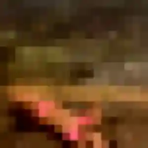 rencontre sexy à Le Pradet : photo de Fatima, 22 ans - accès libre