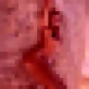 Photo perso de Svetlana, 25 ans à Levens - plan discret