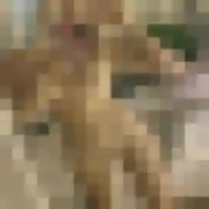 Marion, 38 ans, en ligne à Mondragon pour une rencontre coquine