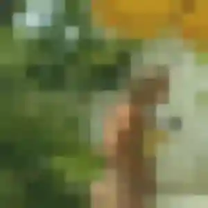 Rym, 40 ans, cherche un rencontre sexy à Morières-lès-Avignon