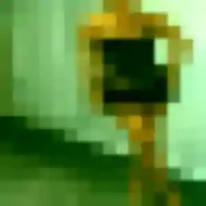 Photo perso de Kelly, 26 ans à Roquevaire - rencontre coquine