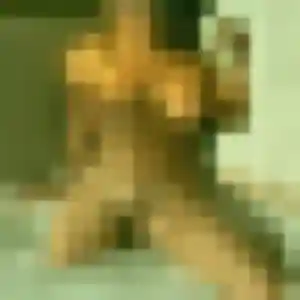 Estelle, fille de 42 ans propose rencontre sexy à Saint-Saturnin-lès-Avignon